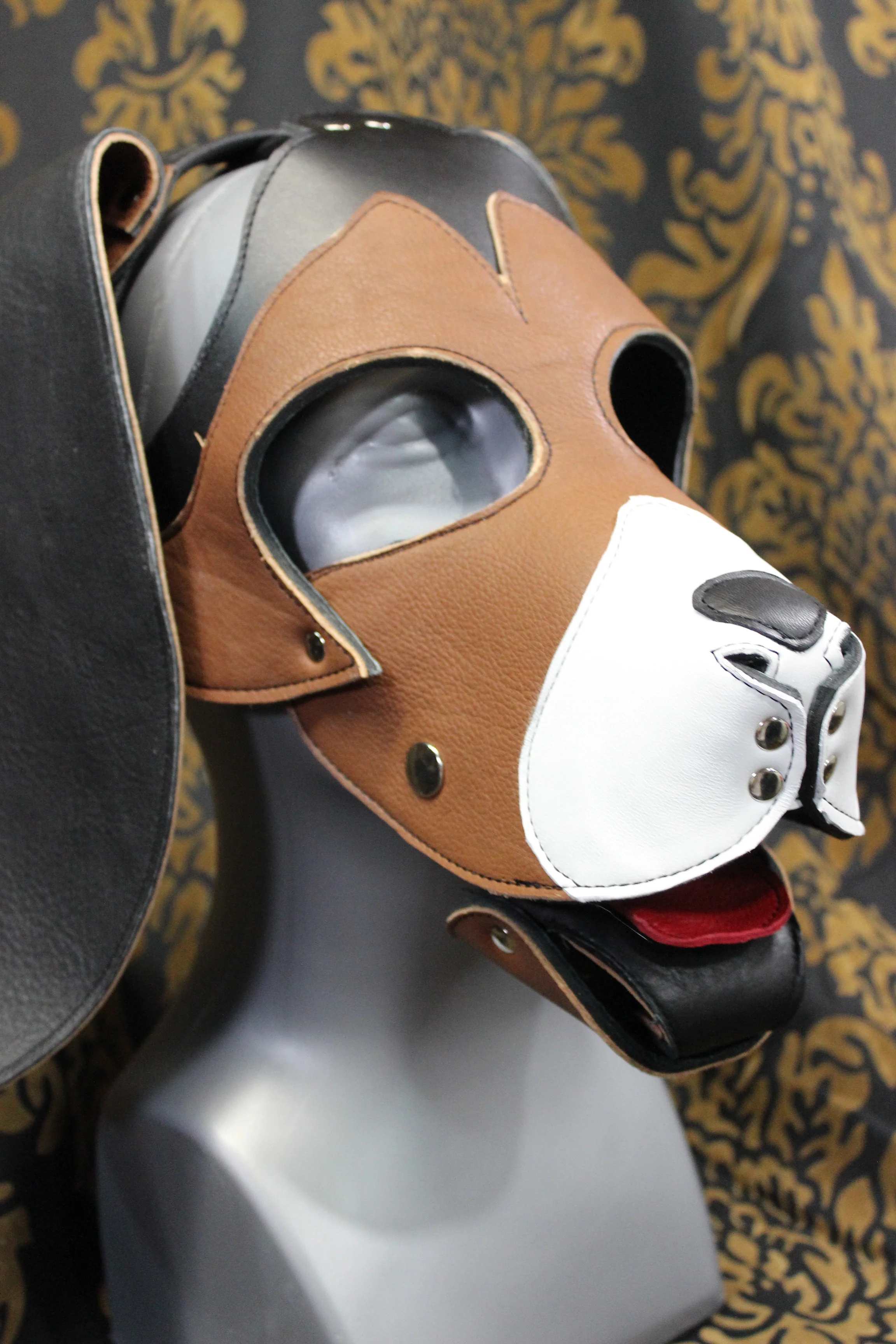 Basset Hound Style Pup Hood in Black, Tan, and White - Image 3