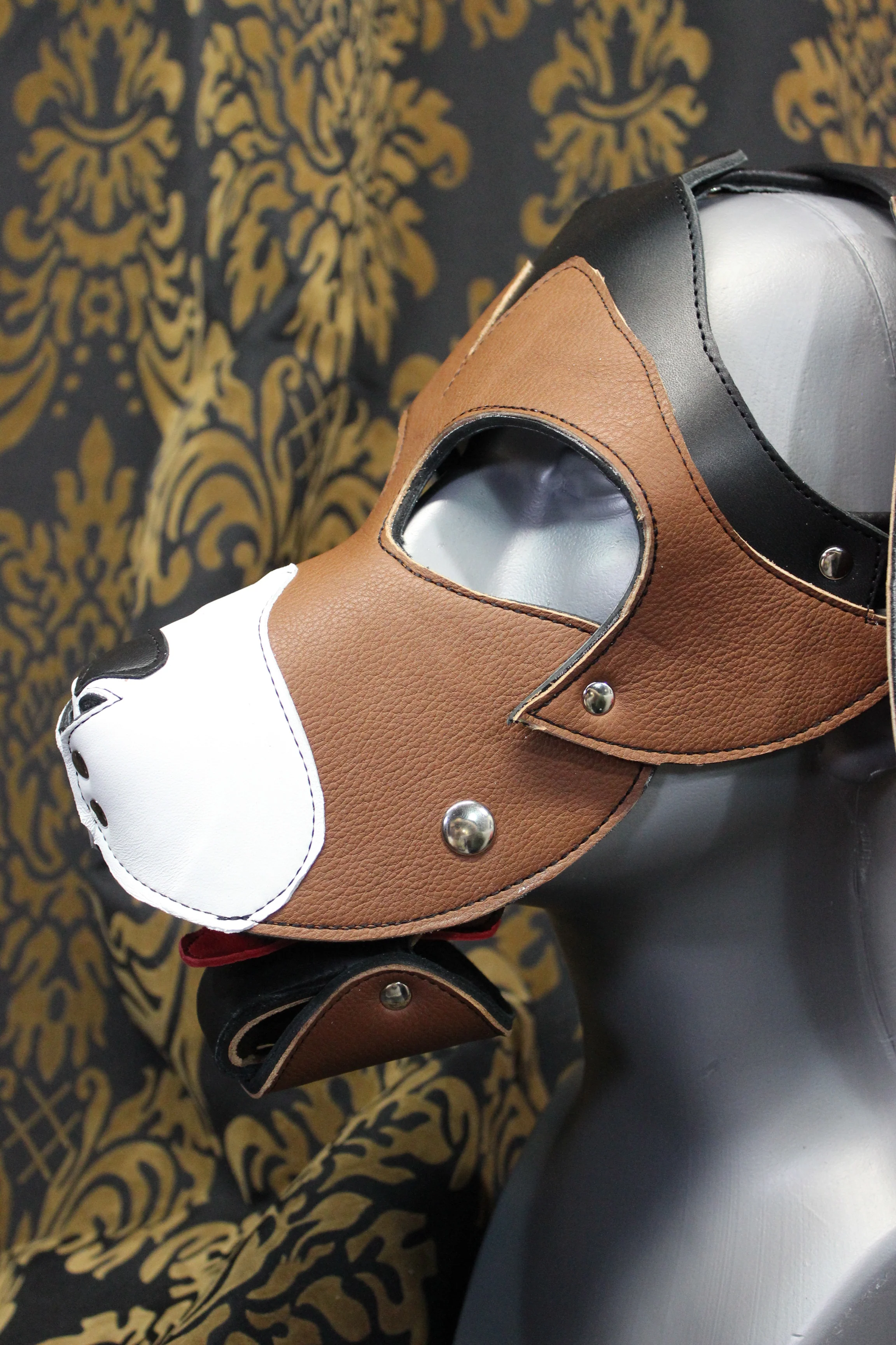 Basset Hound Style Pup Hood in Black, Tan, and White - Image 8