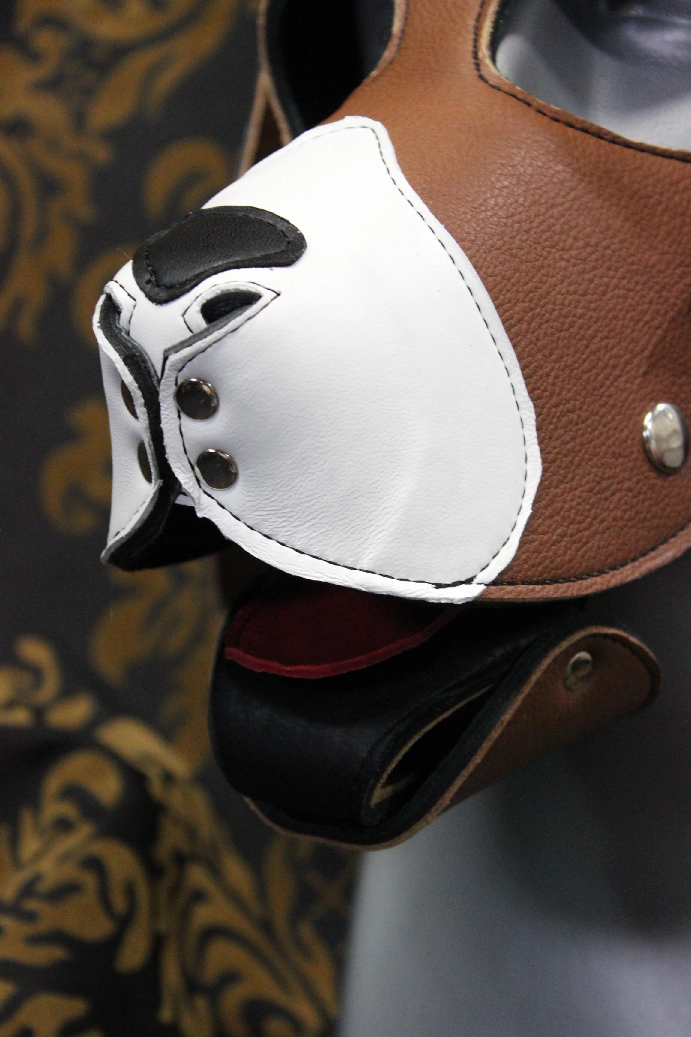 Basset Hound Style Pup Hood in Black, Tan, and White - Image 9