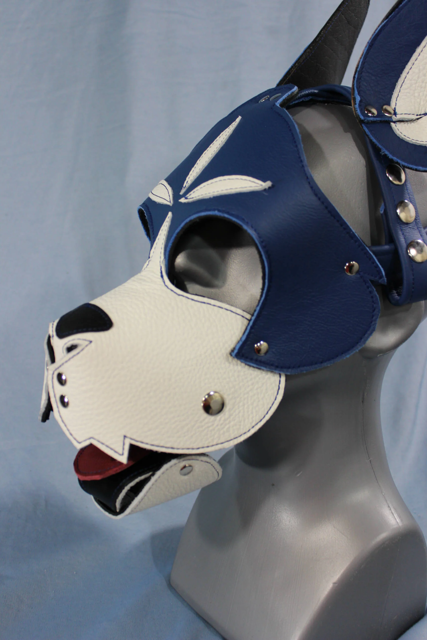 Blue and White Boxer Hood with Studded Whiskers - Image 4
