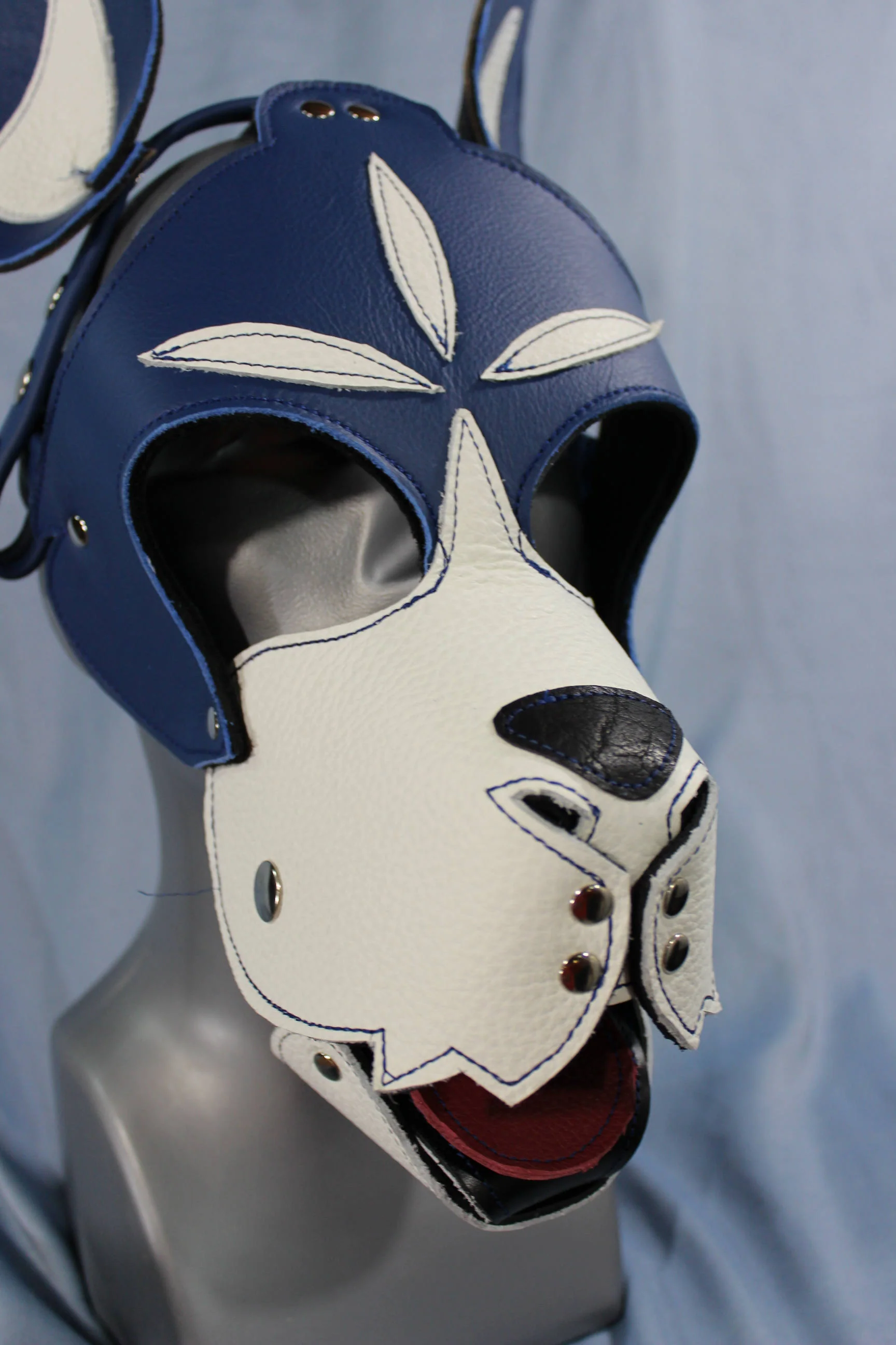 Blue and White Boxer Hood with Studded Whiskers - Image 5