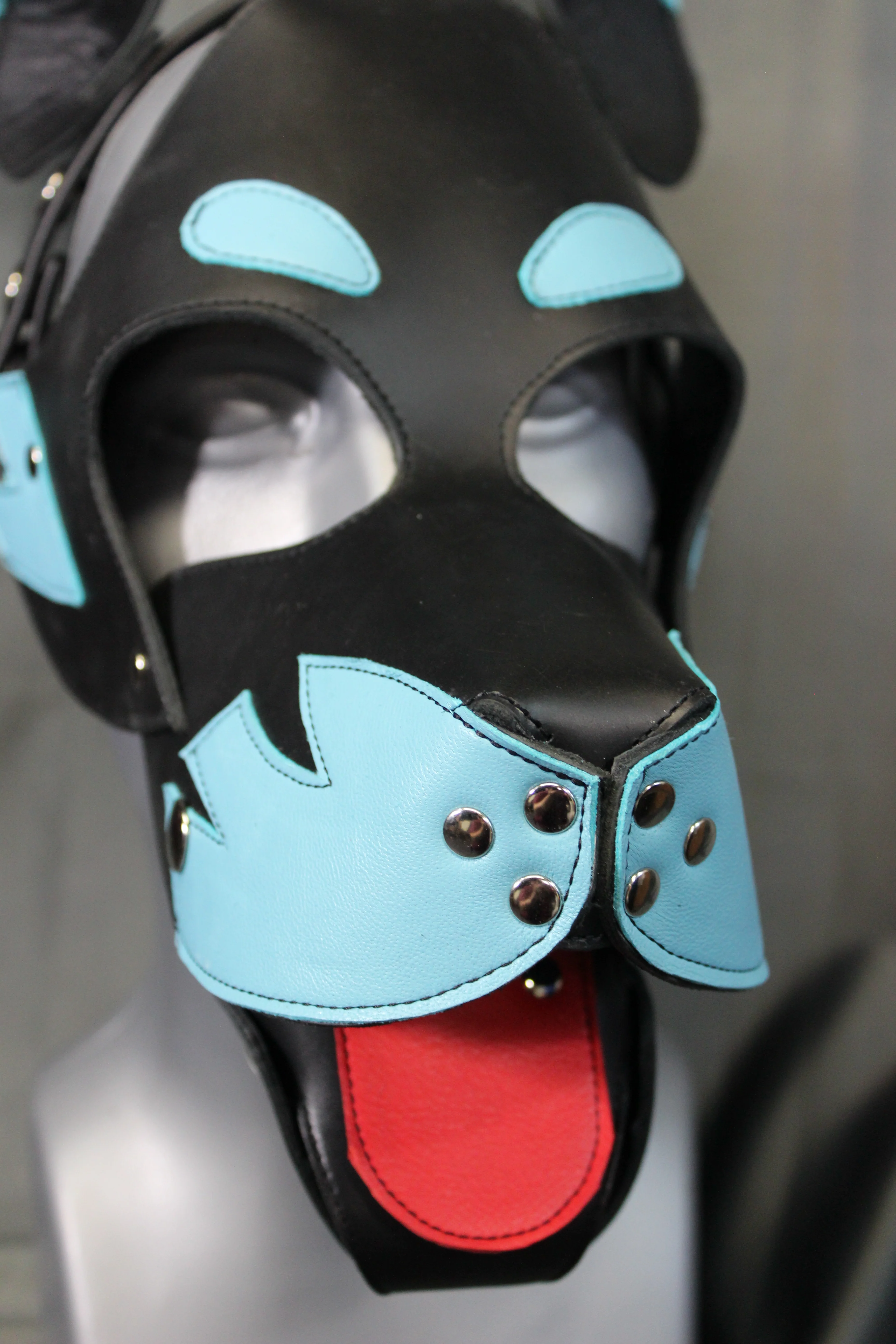 Nightwing' Inspired Blue Terrier Hood - Image 9