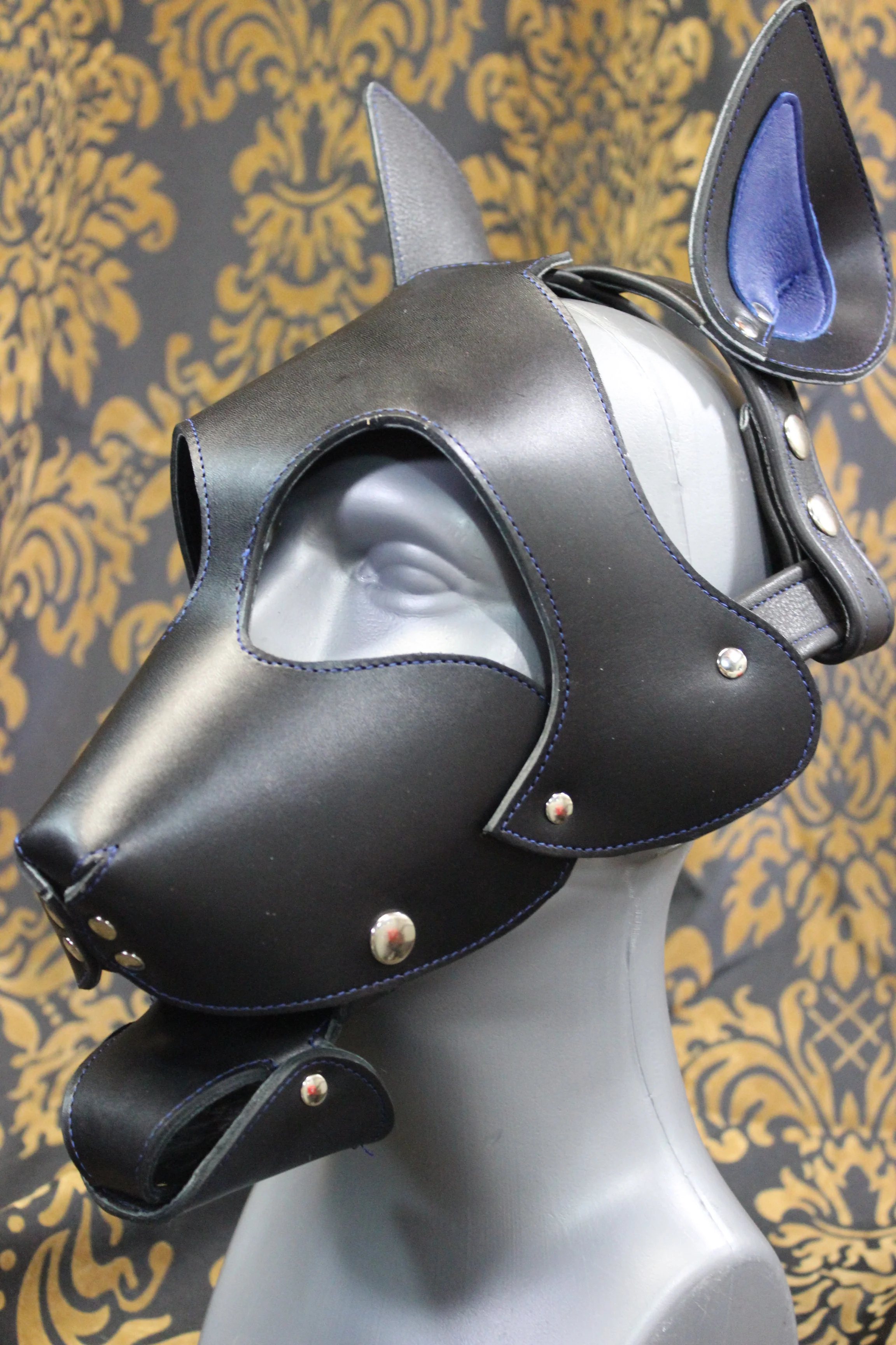Bull Terrier Style Pup Hood - Image 11
