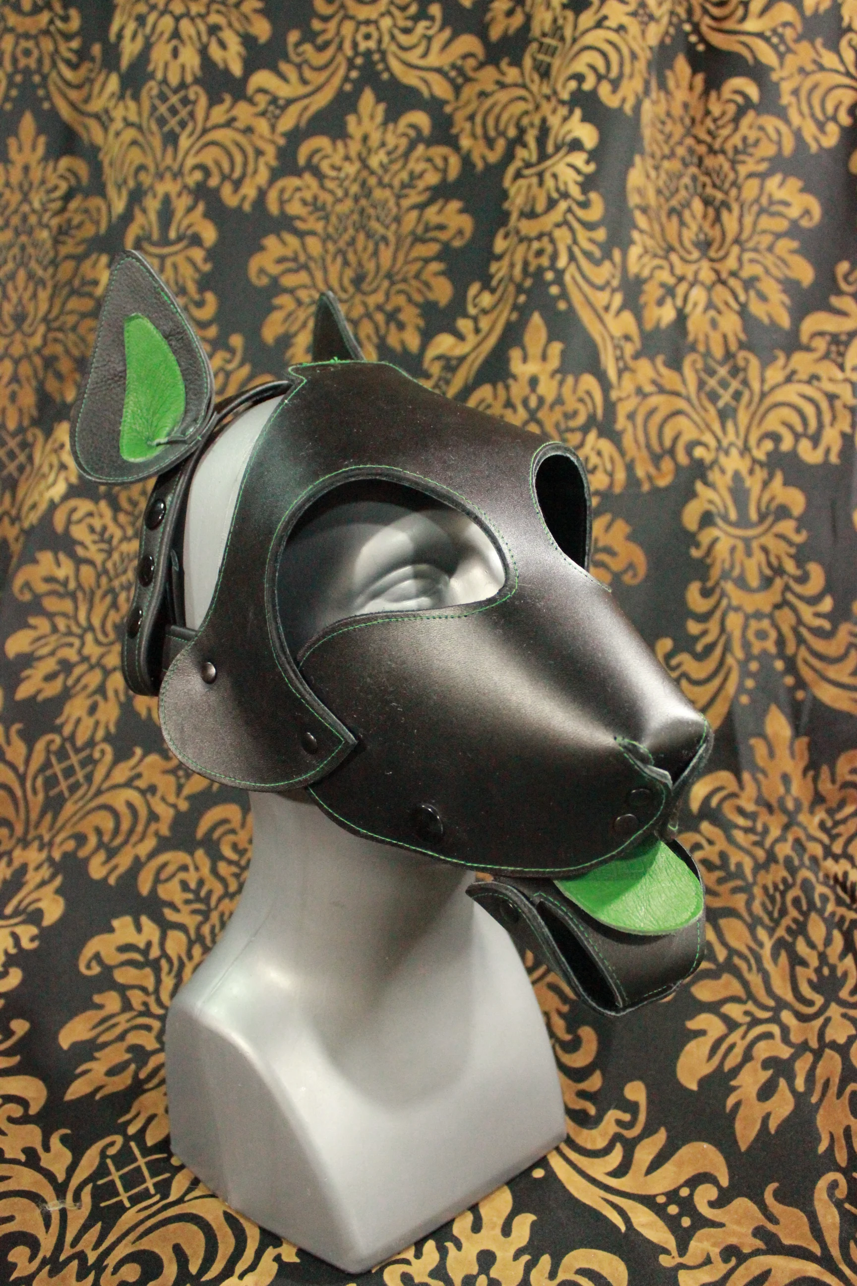 Bull Terrier Style Pup Hood - Image 12