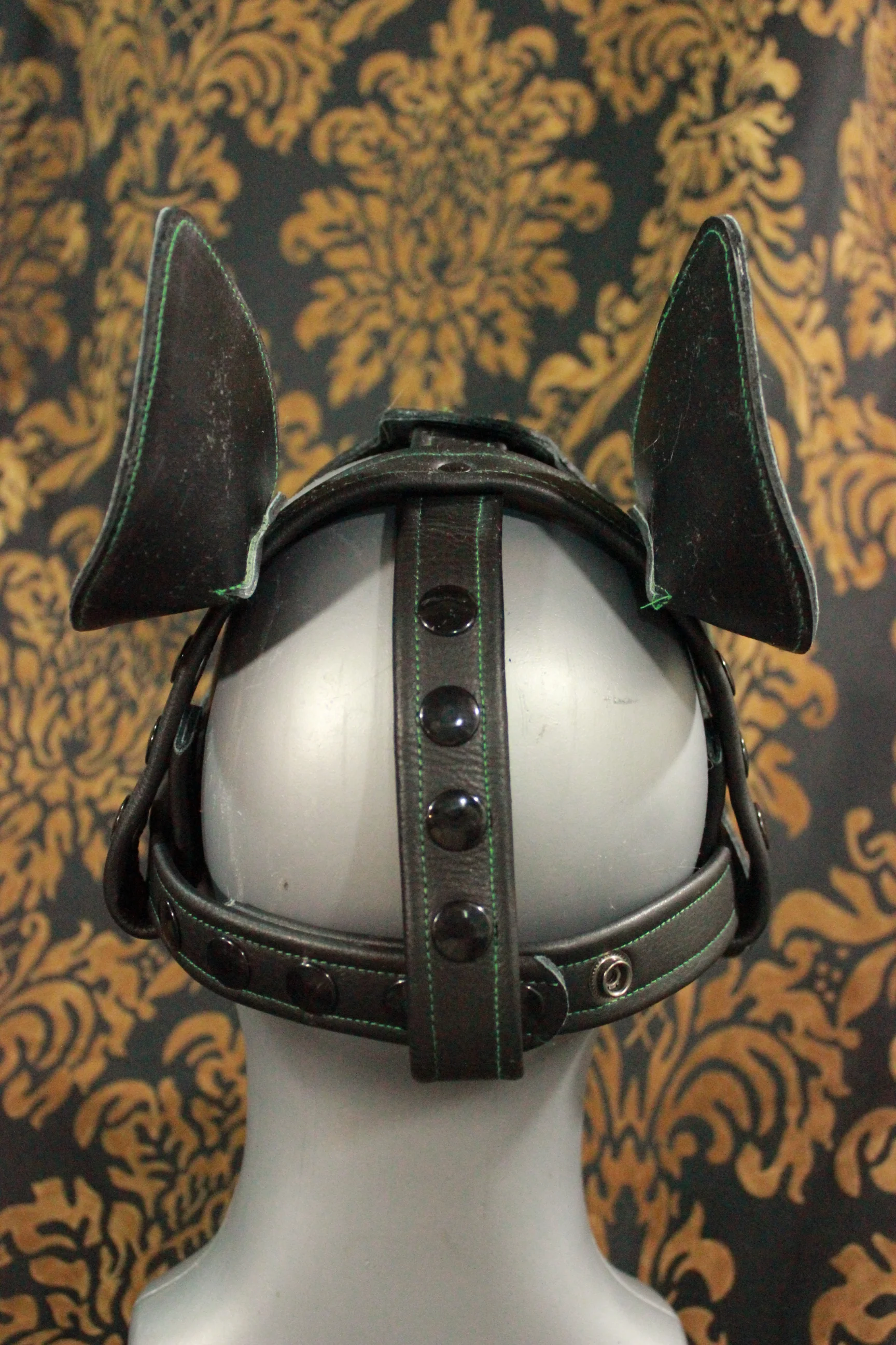 Bull Terrier Style Pup Hood - Image 16