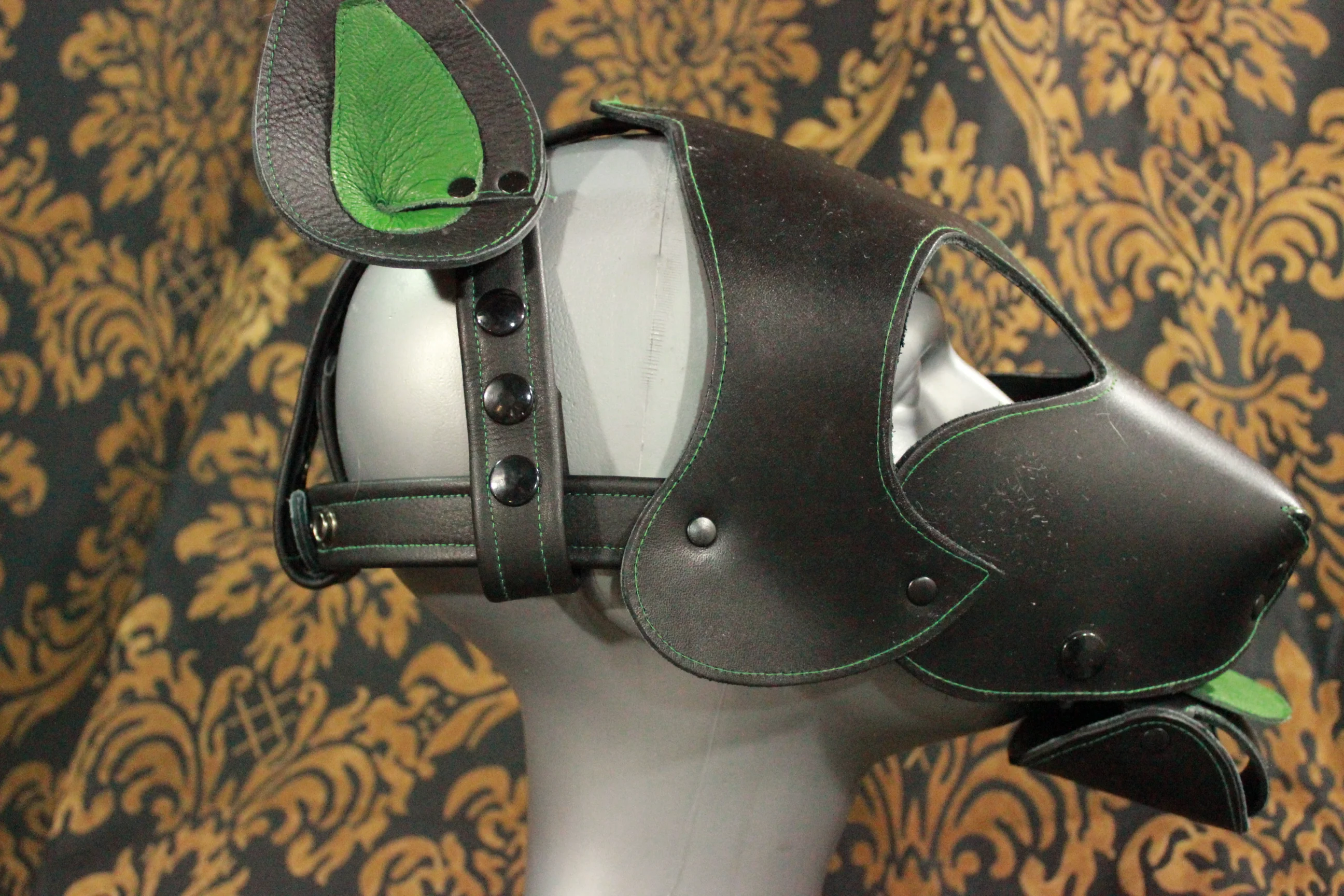 Bull Terrier Style Pup Hood - Image 17