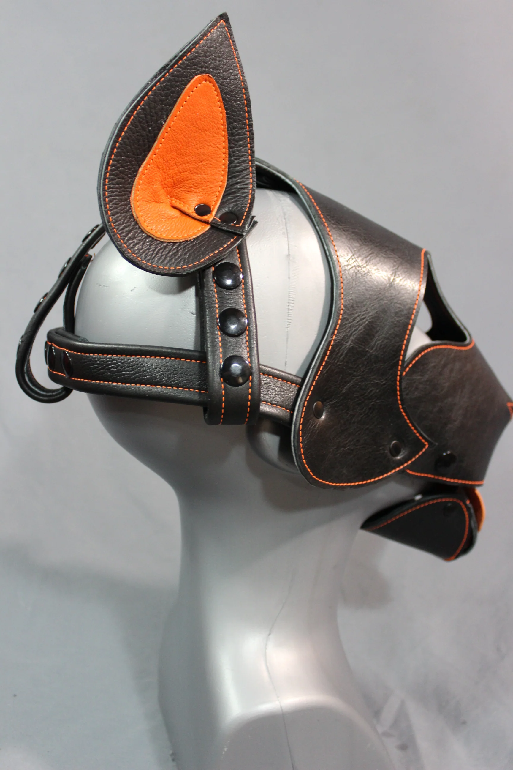 Bull Terrier Style Pup Hood - Image 8