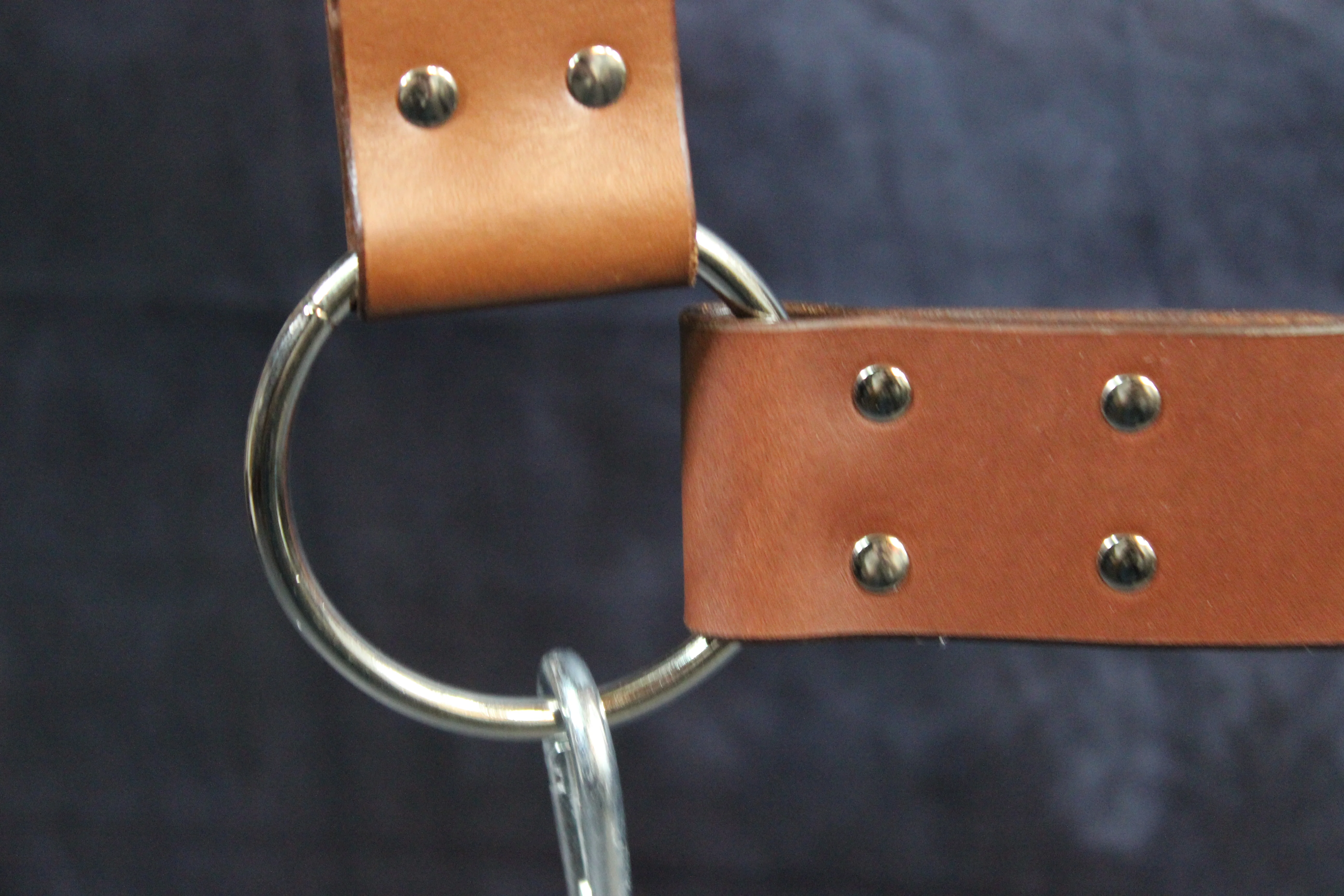 Classic Webbed Leather Sling - Image 5