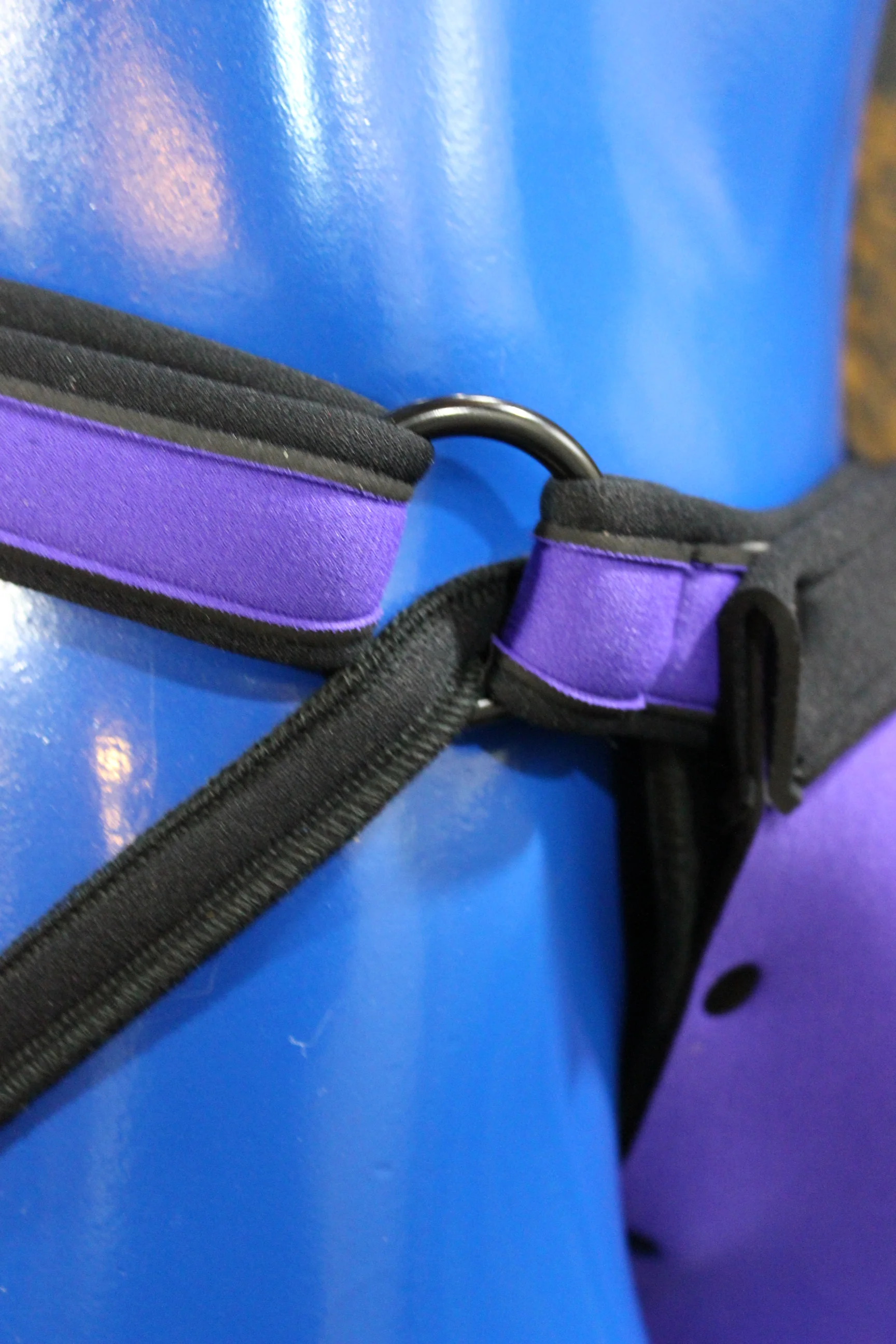 Pupskinz Custom Two Toned Neoprene Jock - Image 3
