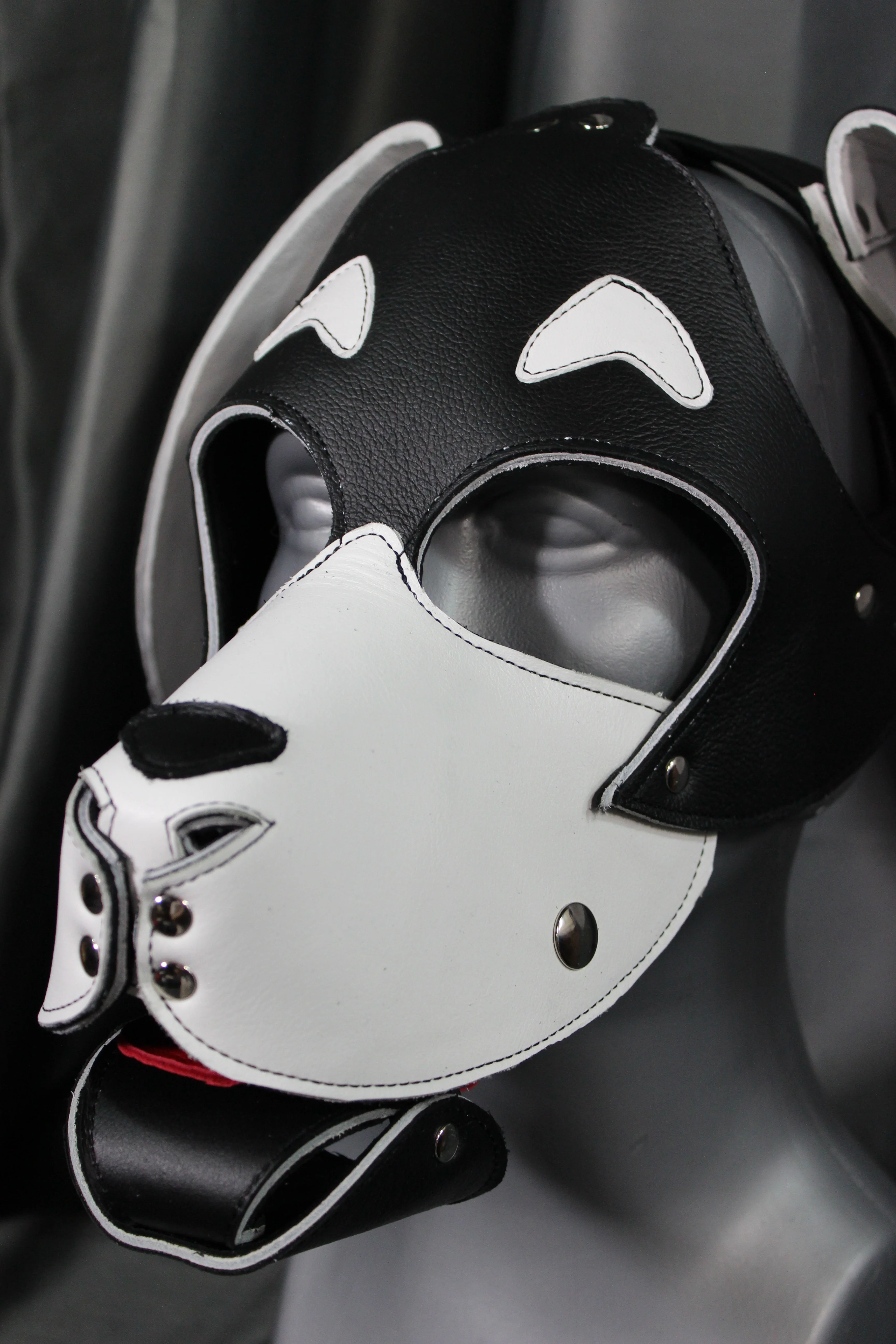 Basset Hound Style Pup Hood in Black and White - Image 4