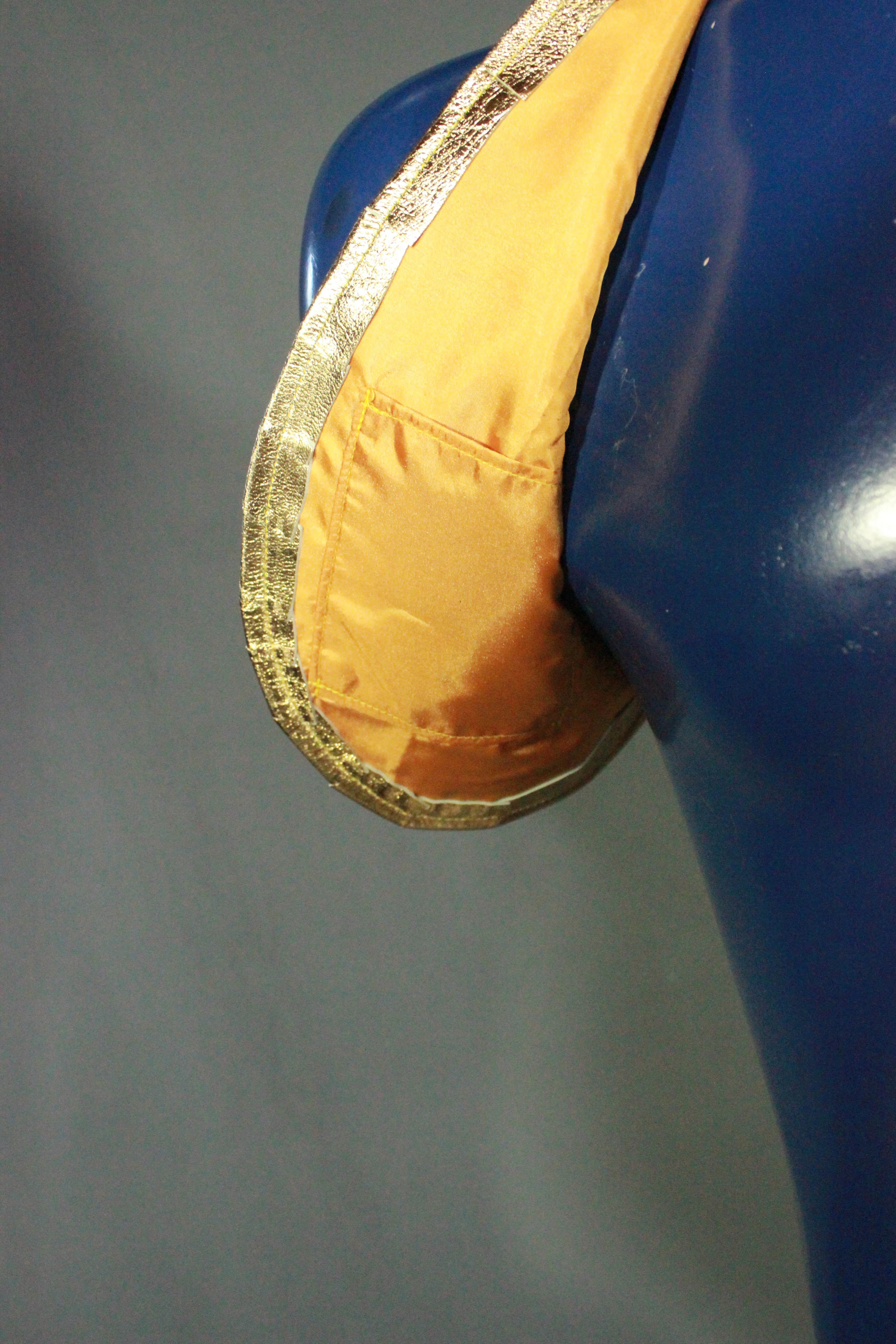 Lascivious's Golden Bolero & Booty Shorts - Image 4