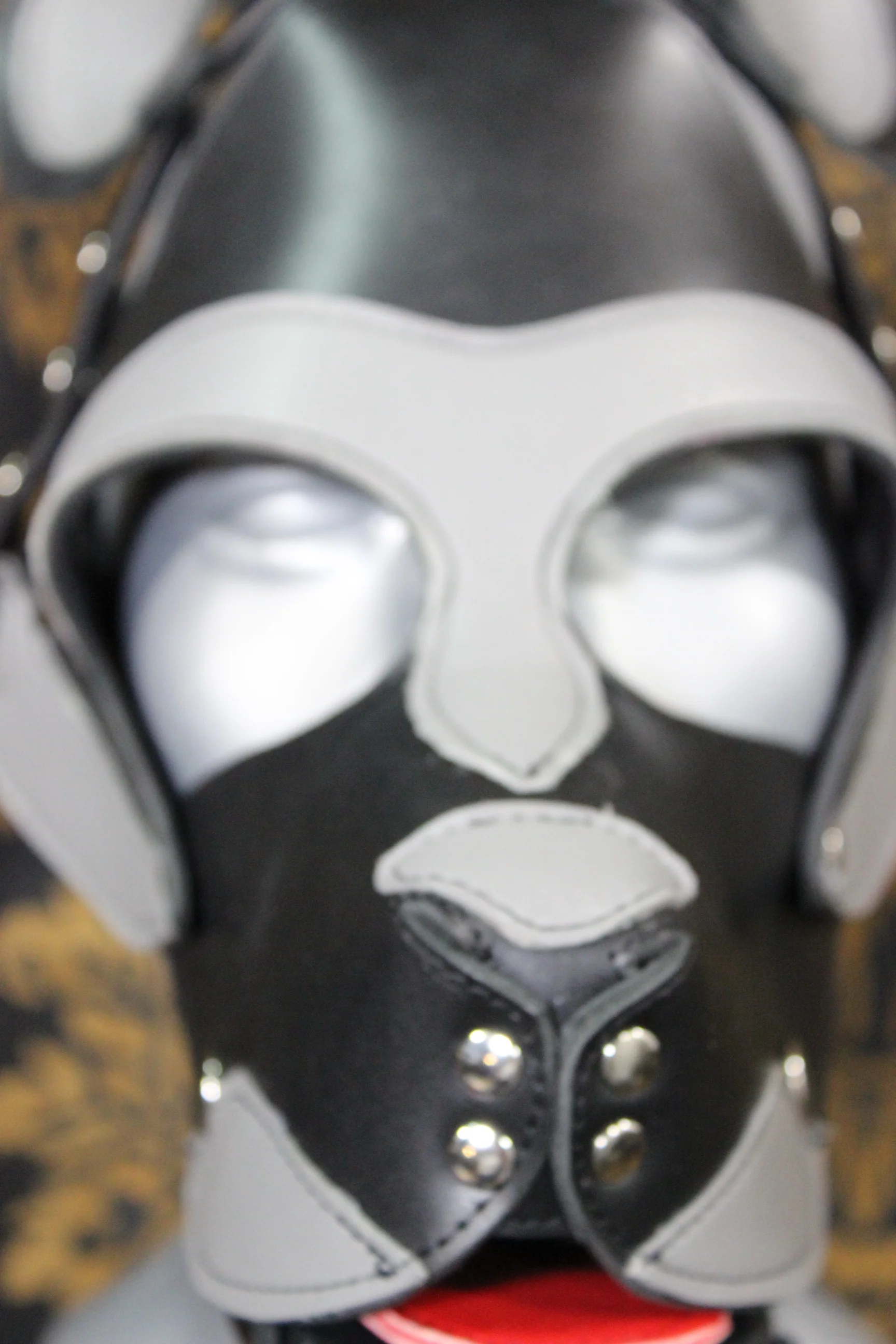 Husky style Pup Hood in Black and Gray - Image 11