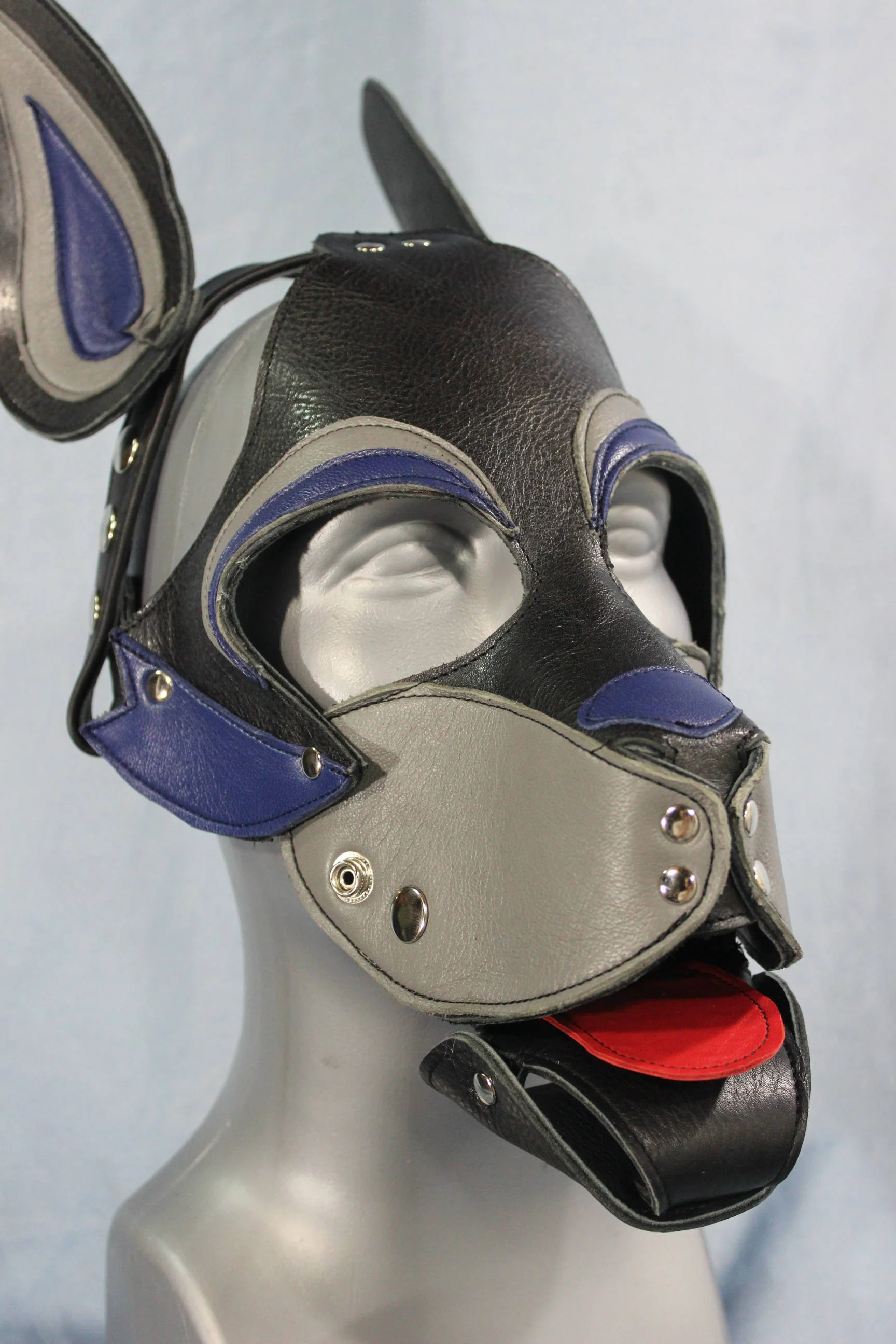 Husky style Pup Hood in Black, Blue, and Gray - Image 5
