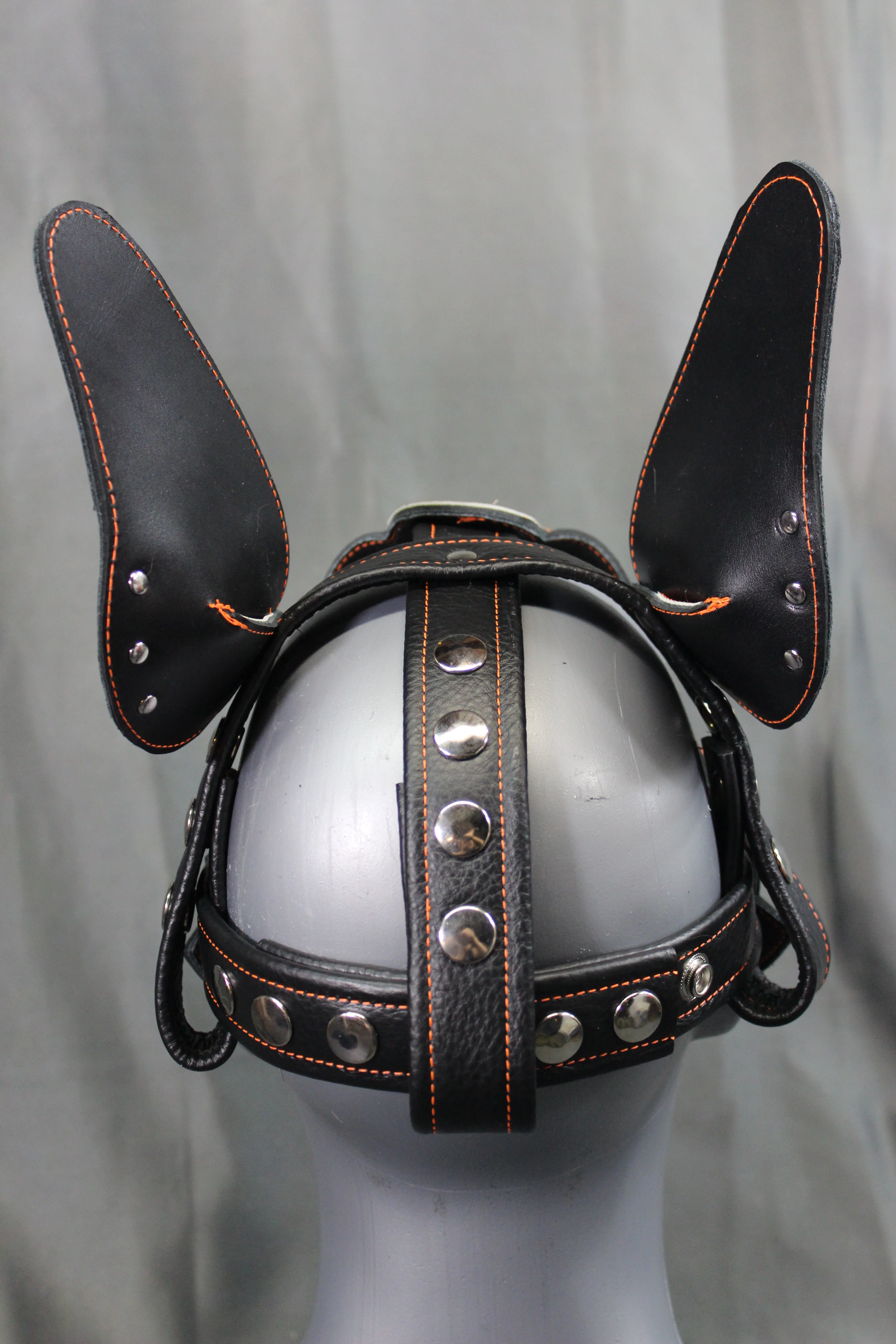 Lightning Pup - Image 35