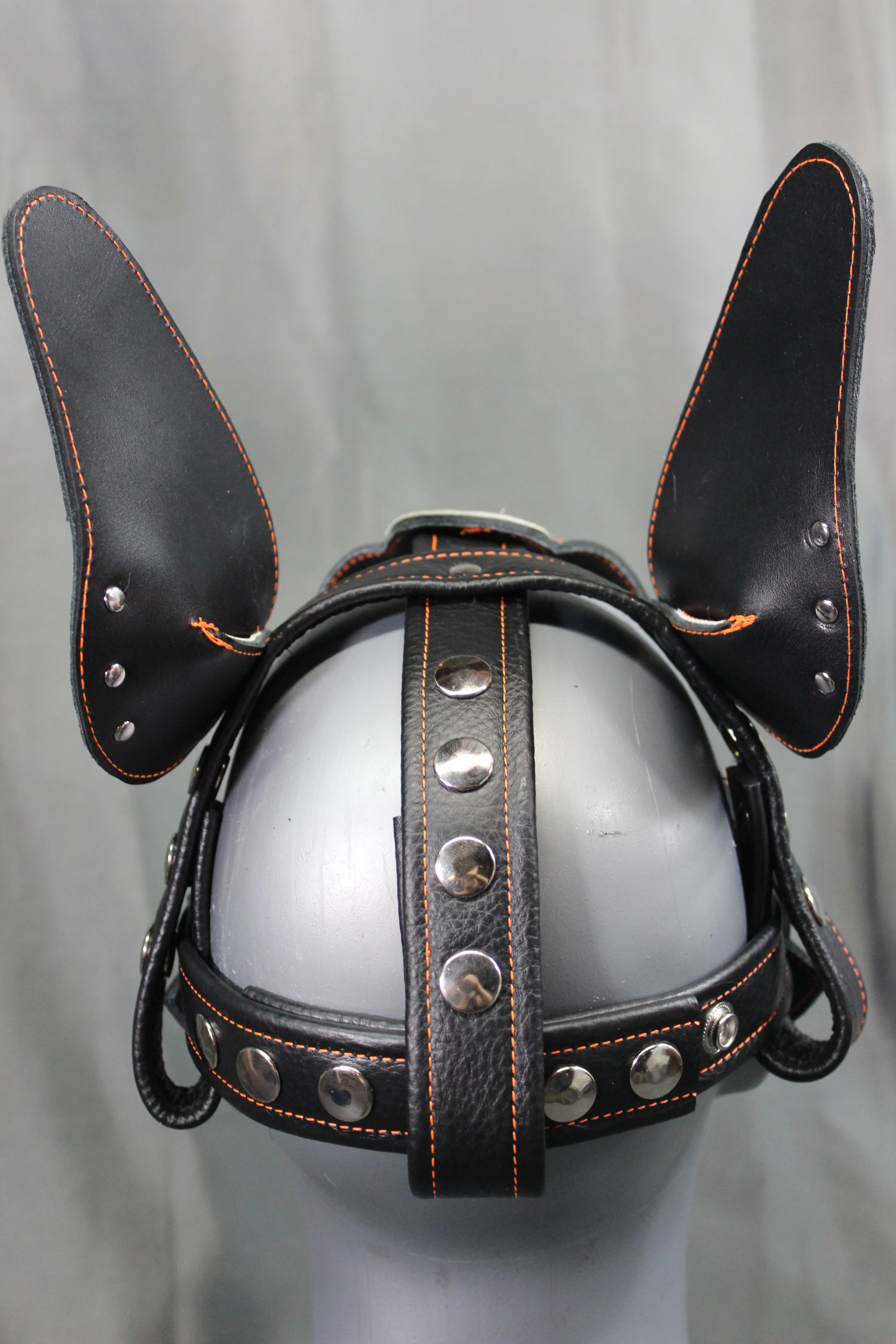 Lightning Pup - Image 36