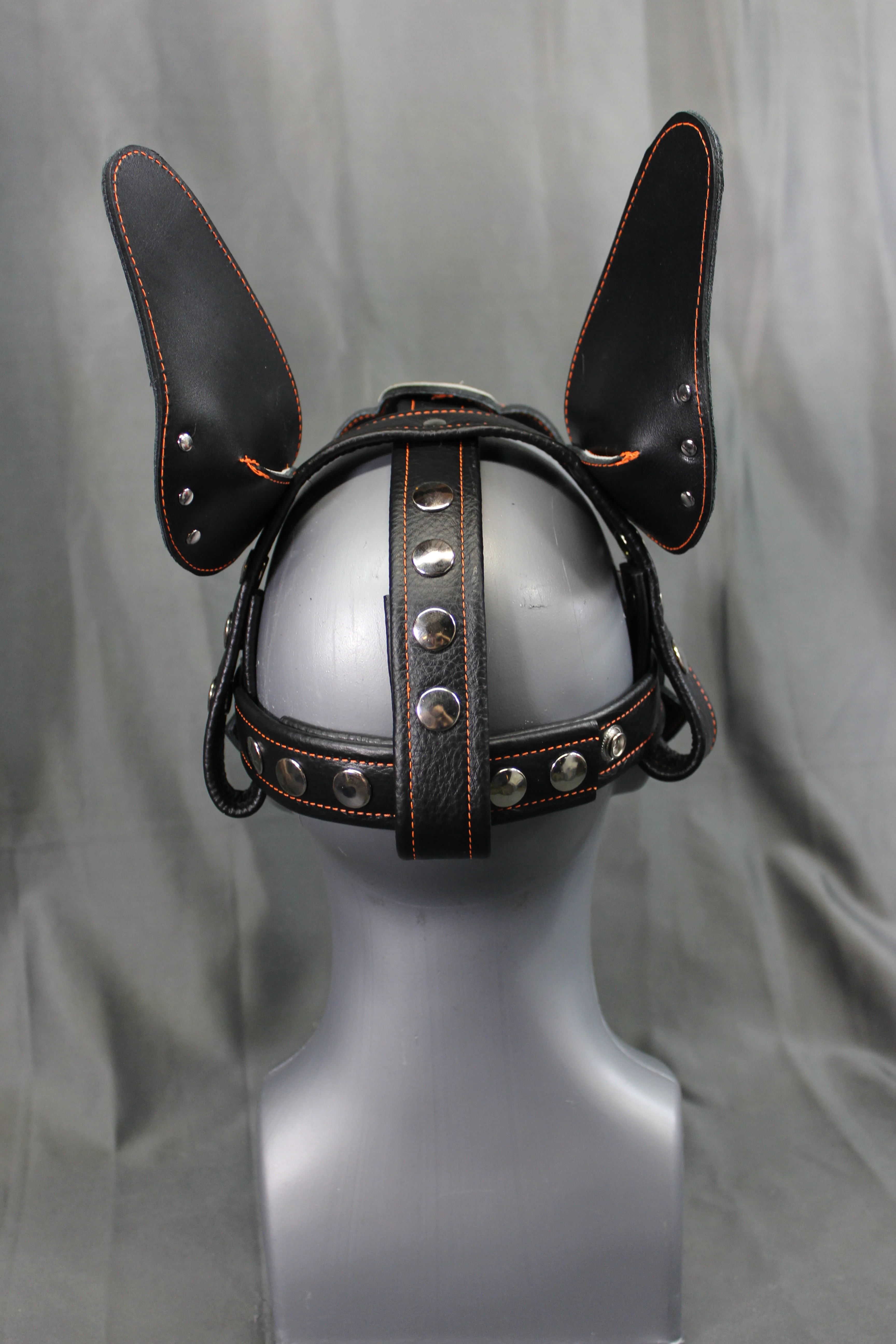 Lightning Pup - Image 37