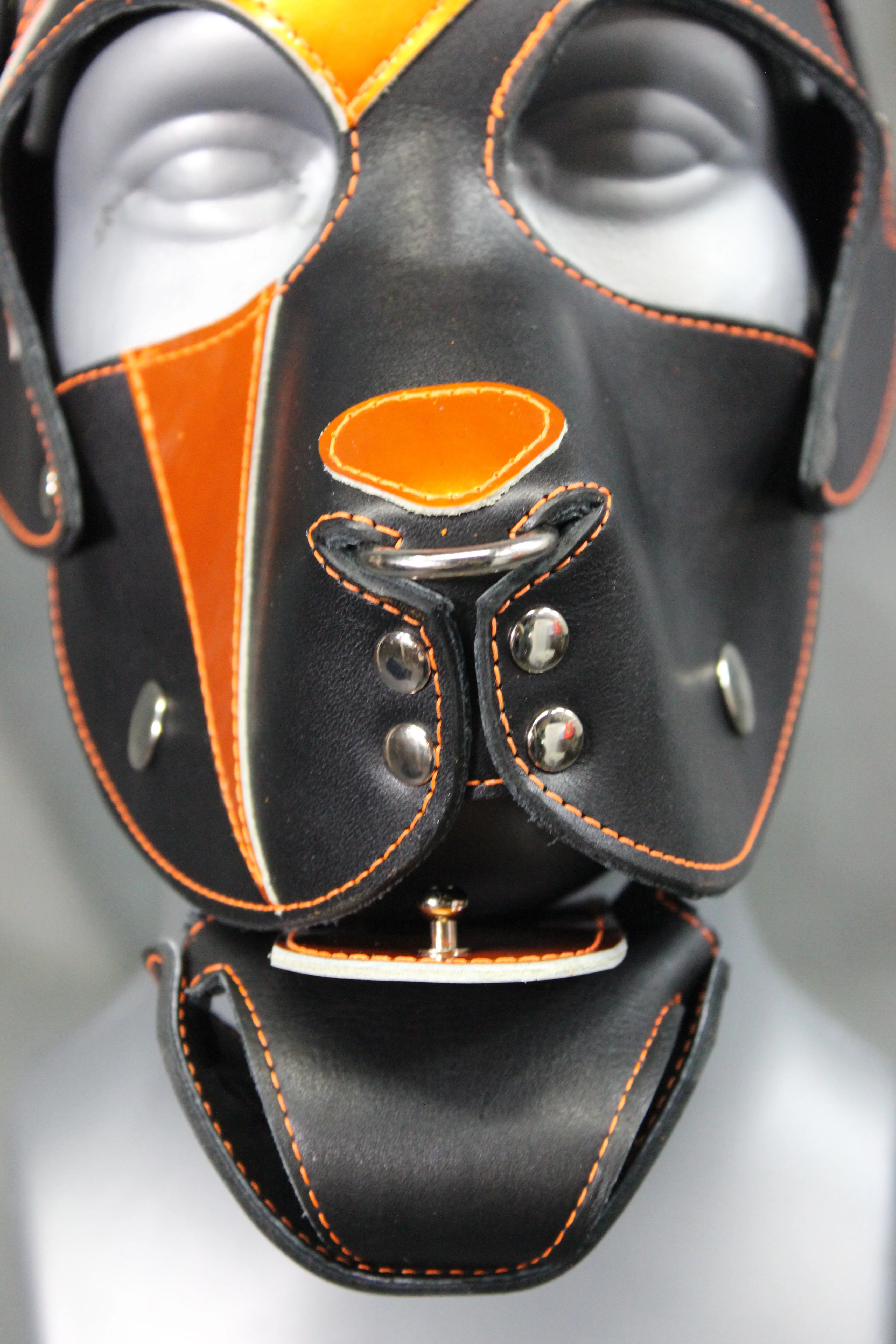 Lightning Pup - Image 4