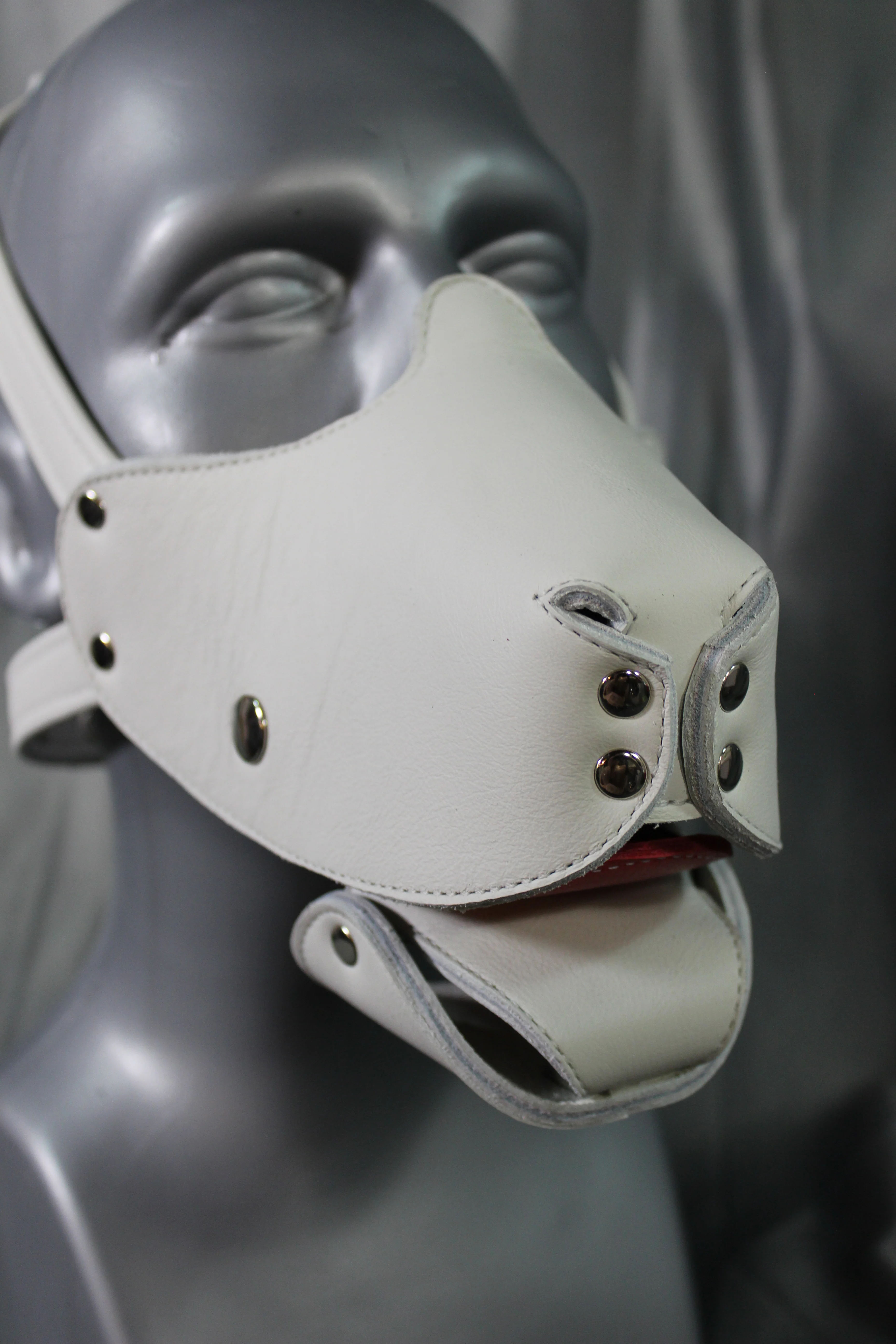 Pup Muzzle - Image 16