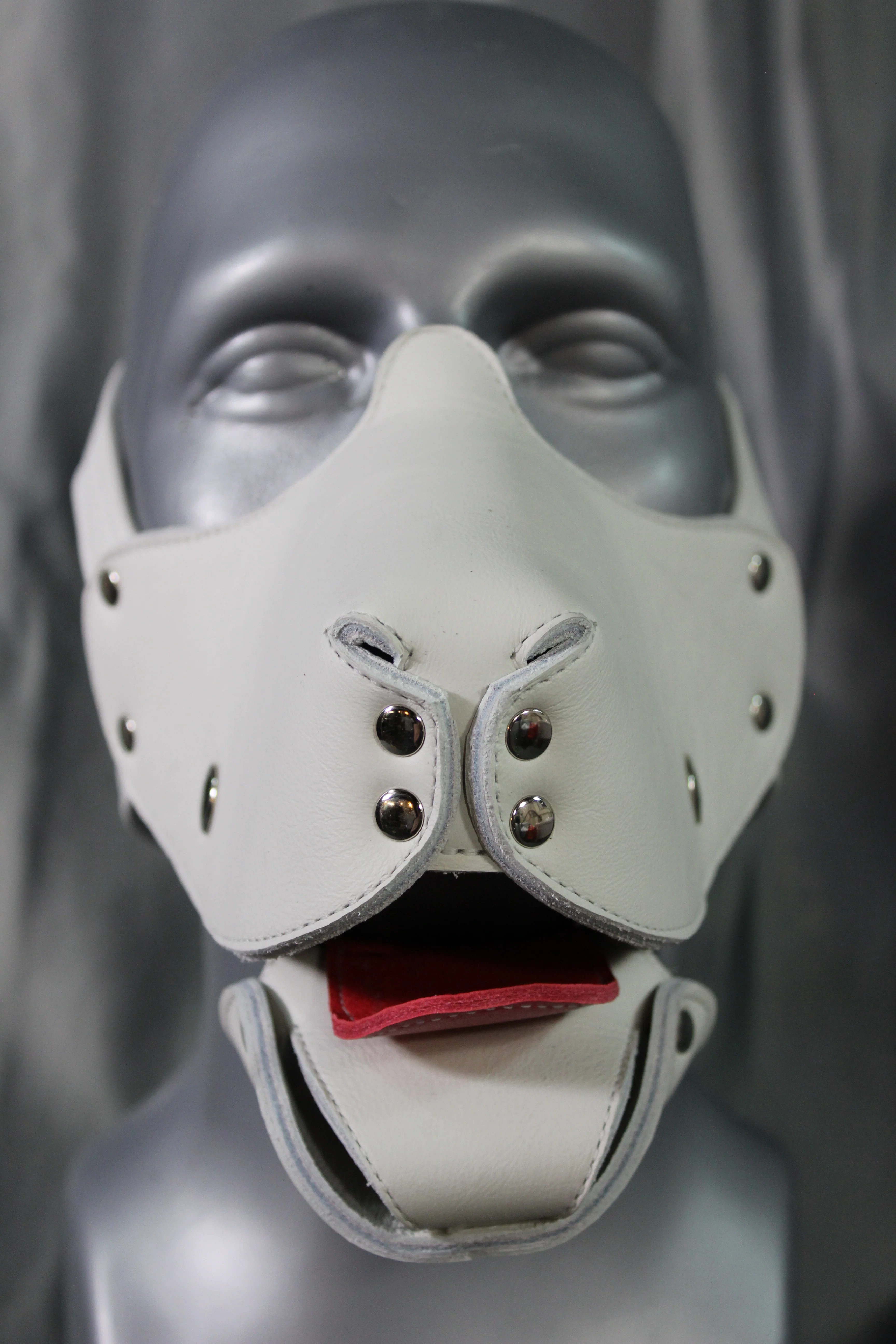 Pup Muzzle - Image 17