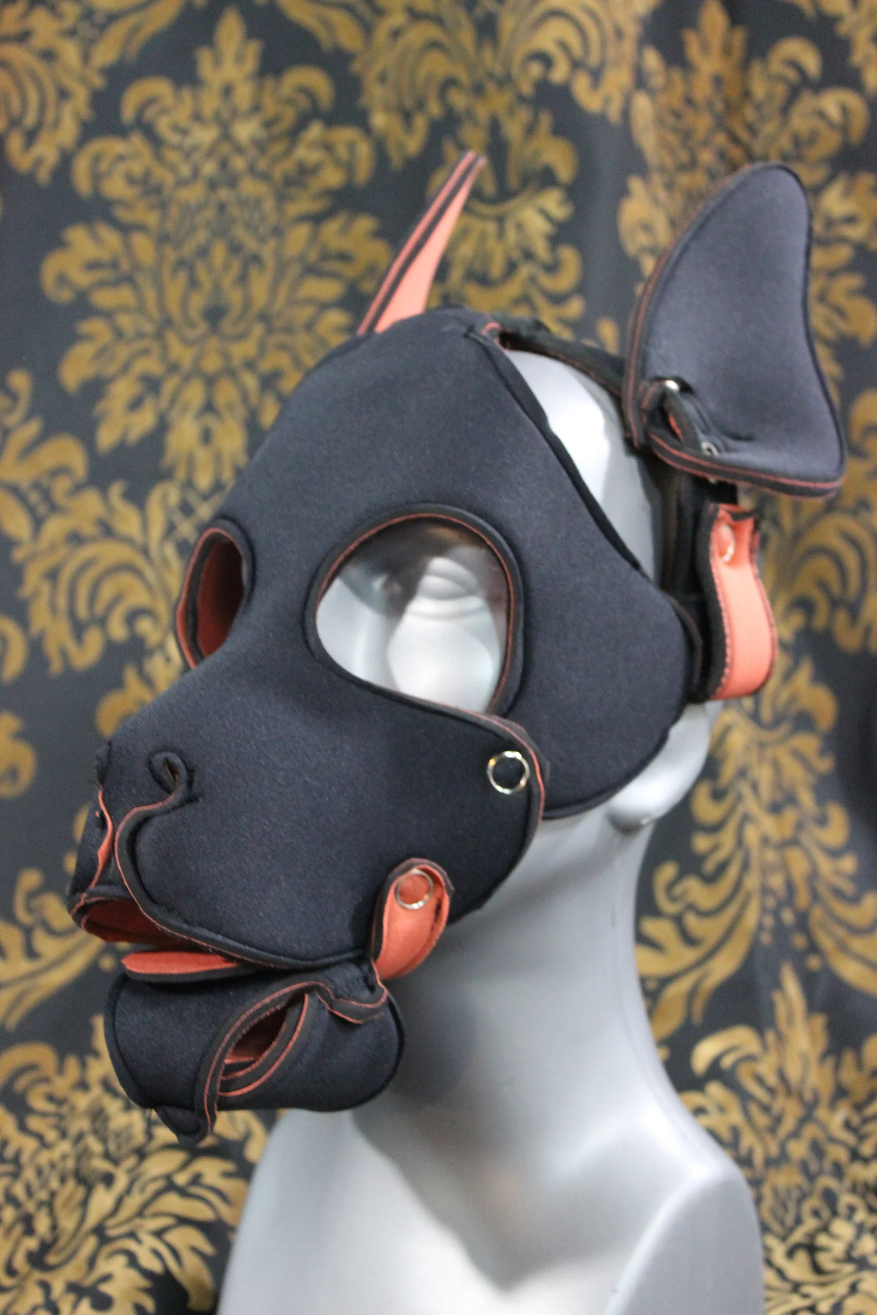Pupskinz Two Toned Reversible Neoprene Husky Hood - Image 11