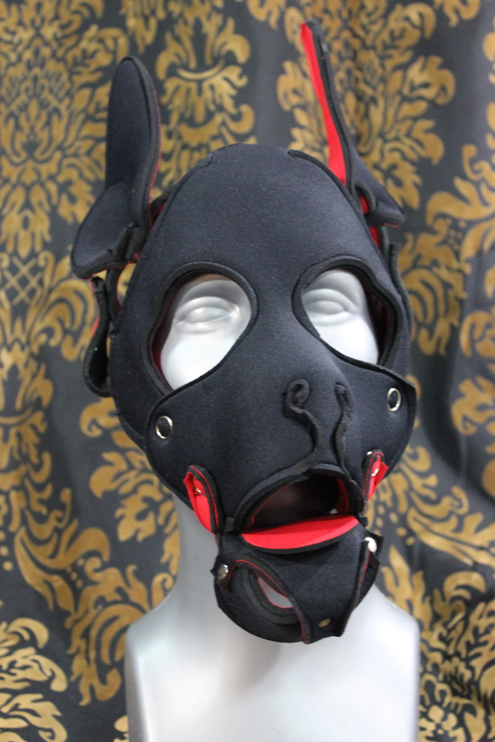 Pupskinz Two Toned Reversible Neoprene Husky Hood - Image 3