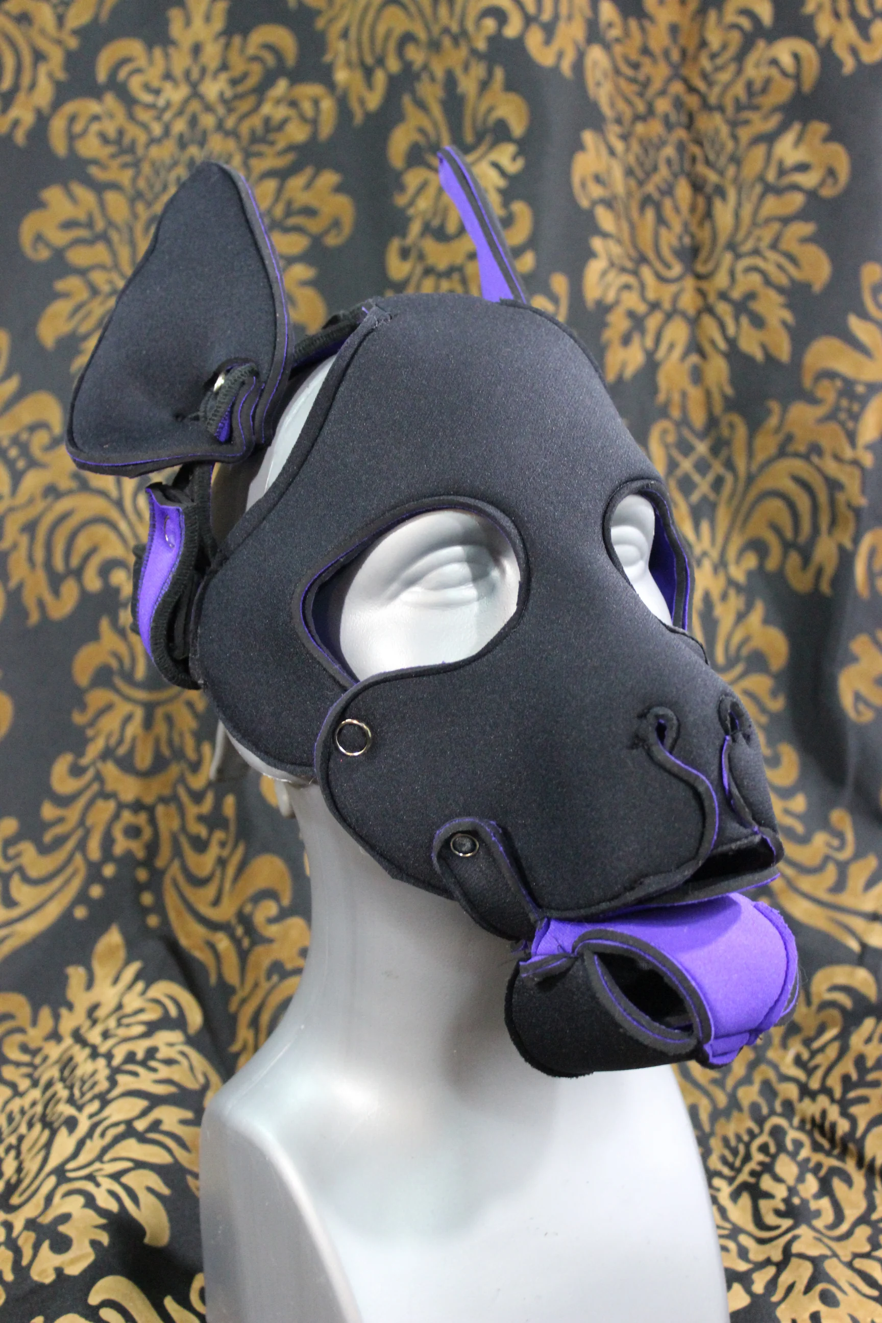 Pupskinz Two Toned Reversible Neoprene Husky Hood - Image 5