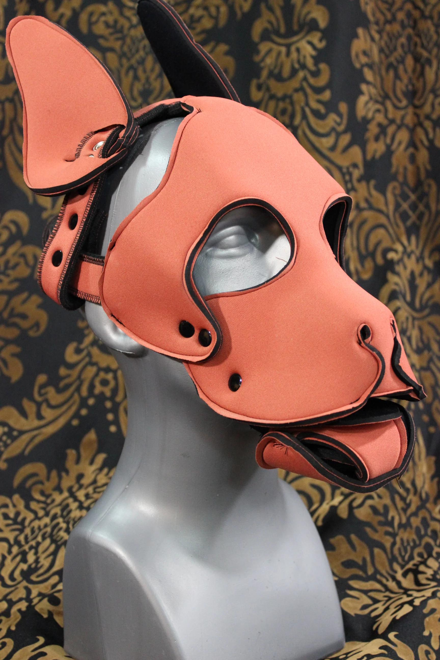 Pupskinz Two Toned Reversible Neoprene Husky Hood - Image 8