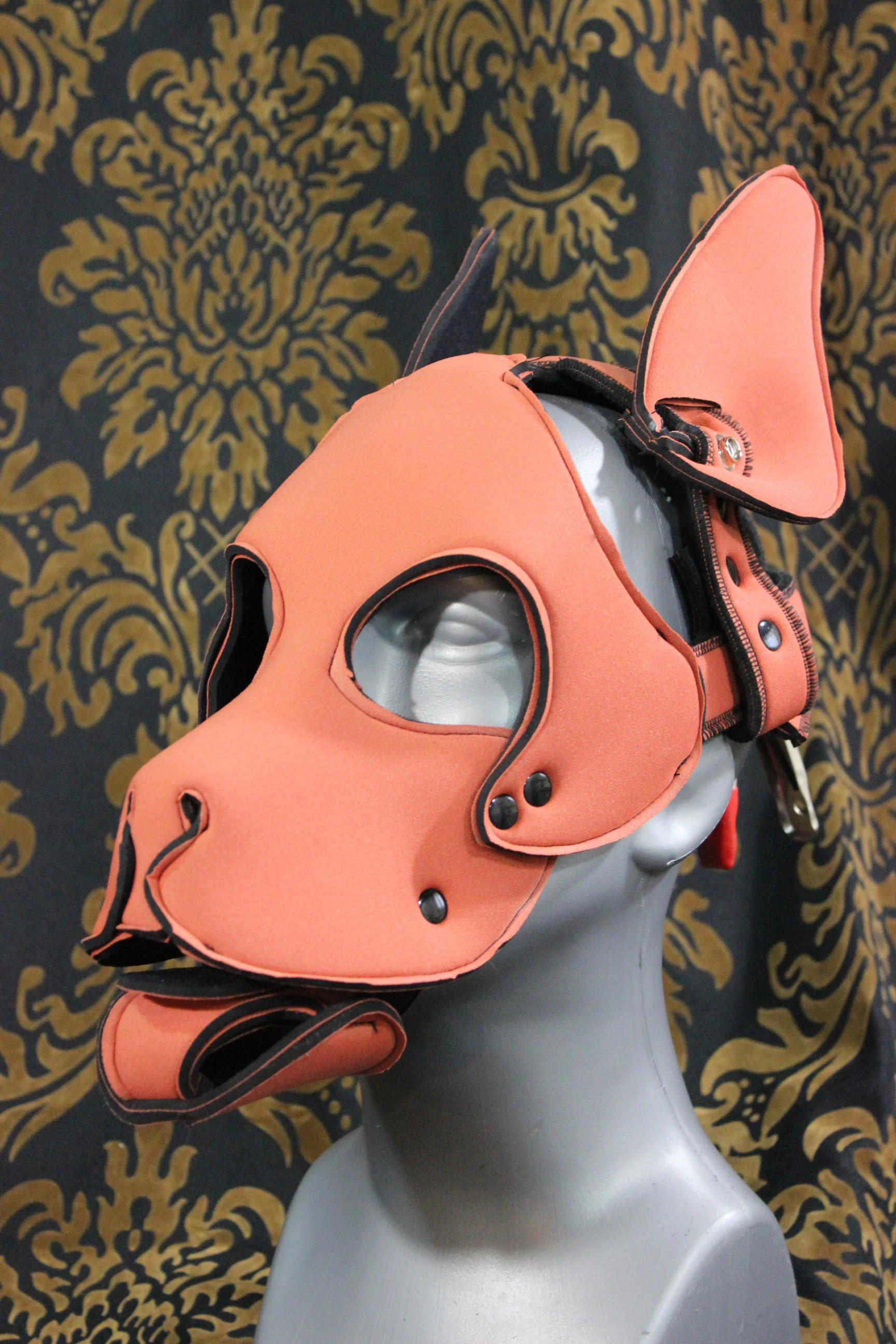 Pupskinz Two Toned Reversible Neoprene Husky Hood - Image 9