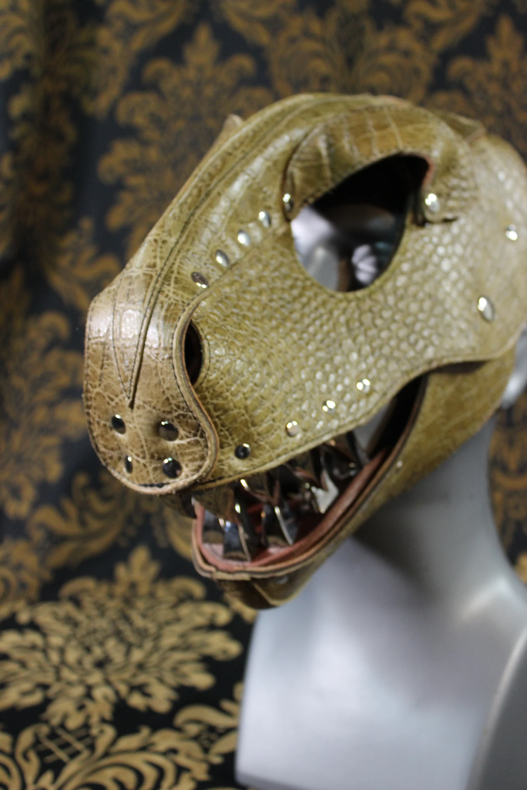 T-Rex Hood - Image 5