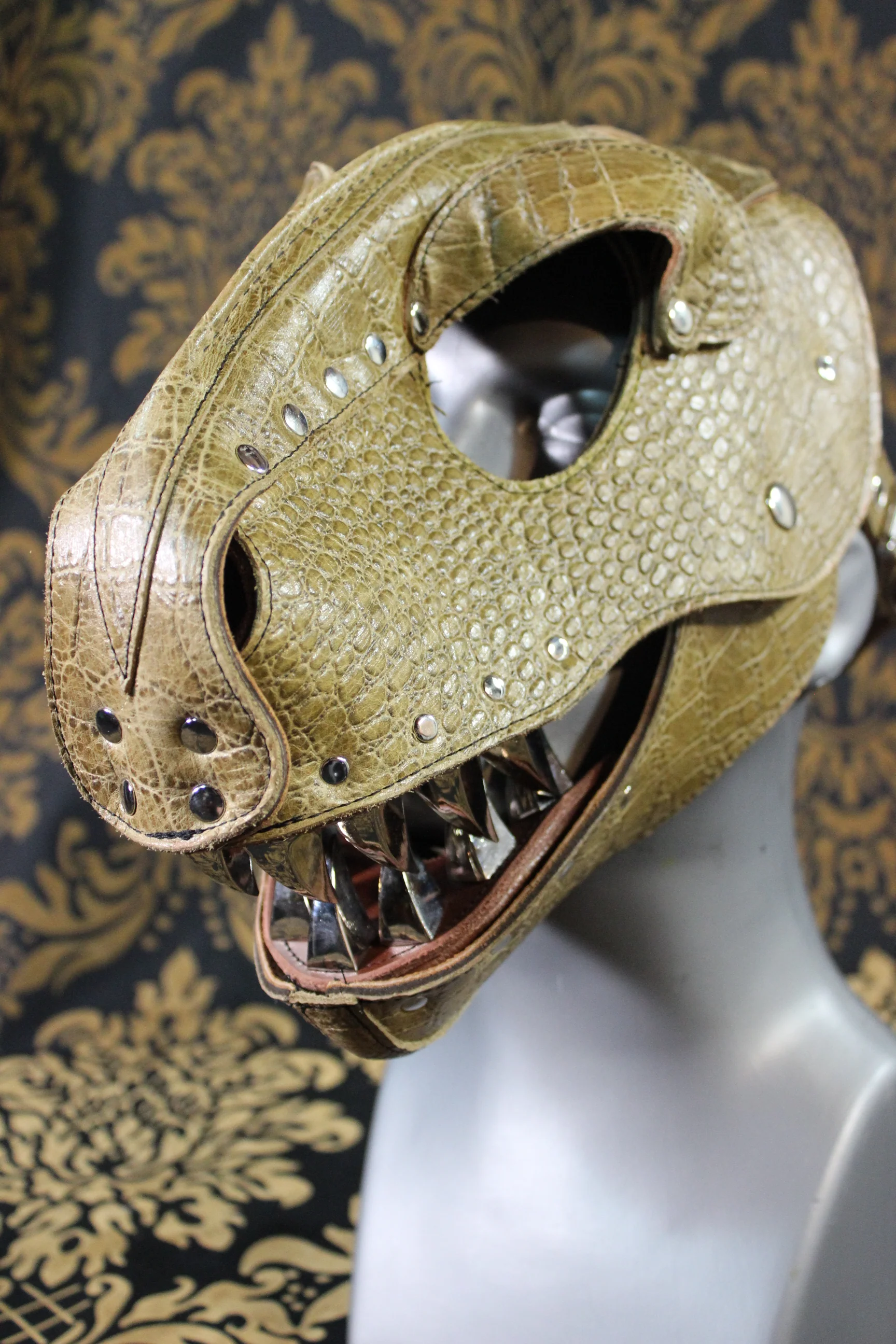 T-Rex Hood - Image 6